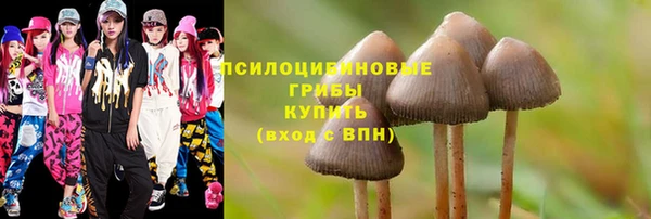 прущие крисы Верея