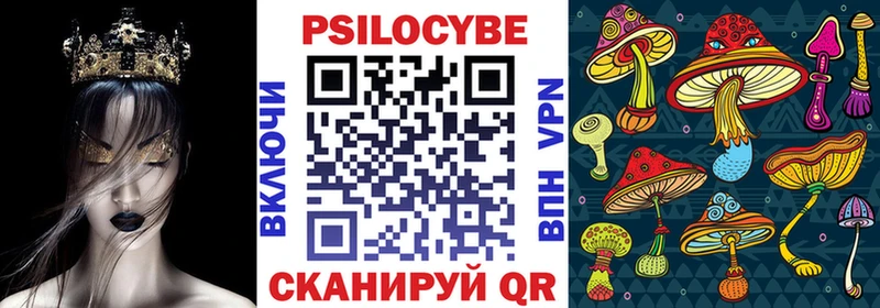Галлюциногенные грибы Psilocybe  магазин    Новокузнецк 
