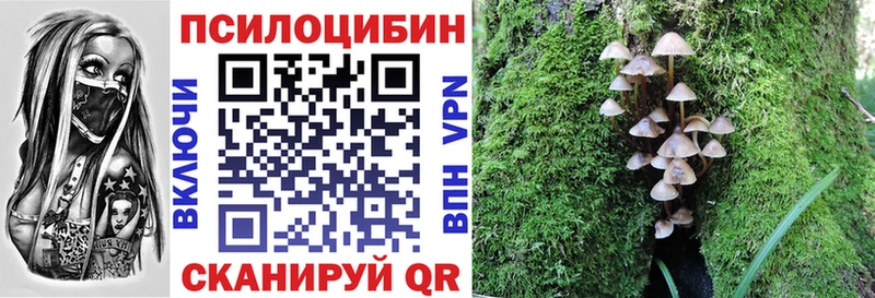 Галлюциногенные грибы мухоморы Новокузнецк